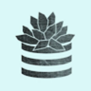 Meet your Posher, Ivy